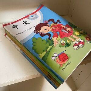 Learn Chinese exercise books